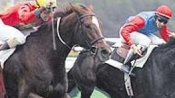 <b>RUSH FINAL. </b>Sayyara Cat (por fuera), en el momento de superar a Castalia a diez metros de meta.