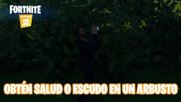 Fortnite Capítulo 2 - Temporada 1 | Desafío de Bola 8 vs. Bola blanca: obtén salud o escudo en un arbusto