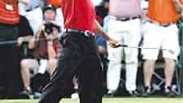 Tiger, número uno del circuito.