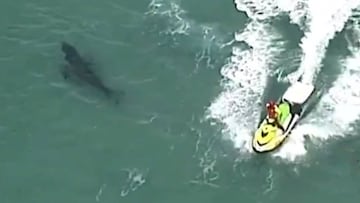 Un Jet Ski intenta alejar a un tibur&oacute;n blanco de la playa tras el ataque mortal a un surfista en Kingscliff (New South Wales, Australia).