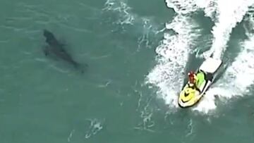Un Jet Ski intenta alejar a un tiburón blanco de la playa tras el ataque mortal a un surfista en Kingscliff (New South Wales, Australia).