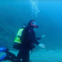 Chris Hemsworth y Mick Fanning exploran el surf entre tiburones