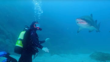 Mick Fanning con un tiburón