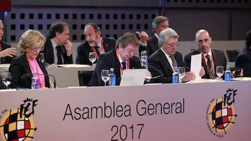 Asamblea General de la RFEF.