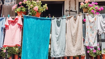 A vertical shot of laundry hanging on a clothesline