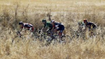 El pelotón durante la tercera etapa de la Vuelta Ciclista a España 2014 que hoy ha transcurrido entre Cádiz capital y el municipio gaditano de Arcos de la Frontera, con un recorrido de 197,8 kilómetros.