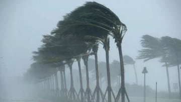 En próximas horas Barbara evolucionará a Huracán y afectará a varias entidades de México con lluvias muy fuertes.