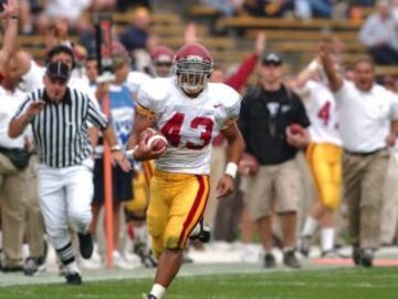 Polamalu fue elegido en primera ronda del draft de 2003 en el puesto 16. Provenía de la universidad de South California, en donde coincidió con el quarterback Carson Palmer y el actual entrenador de los Seahawks, Pete Carroll.