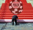 Récord de participación en las WSOPE