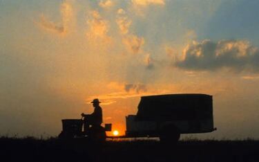 Ni ‘El hombre elefante’ ni ‘Dune’: esta es la película más diferente de la filmografía de David Lynch