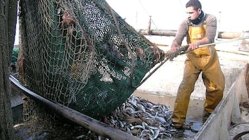 pescadores