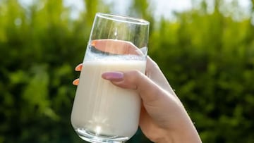 The breakdown on whether spending more moolah for A2 milk is worth it