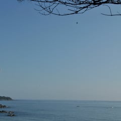 Guerra Israel-Palestina y Rusia-Ucrania: noticias del 20 de noviembre