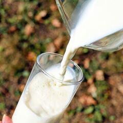 La OCU desvela la mejor leche semidesnatada del mercado