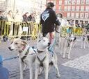 El Dakar de la nieve se exhibió en la Plaza Mayor de Madrid
