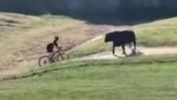 Un ciclista se dirije hacia un toro por un camino de tierra que pasa por un rancho durante la prueba de MTB Rock Cobbler, en Bakersfield (California, Estados Unidos), en febrero del 2022. 