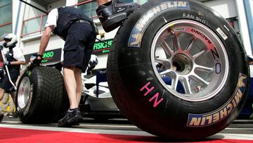 Neum&aacute;tico Michelin en F1.