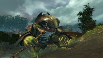 Captura de pantalla - Guild Wars 2 (PC)