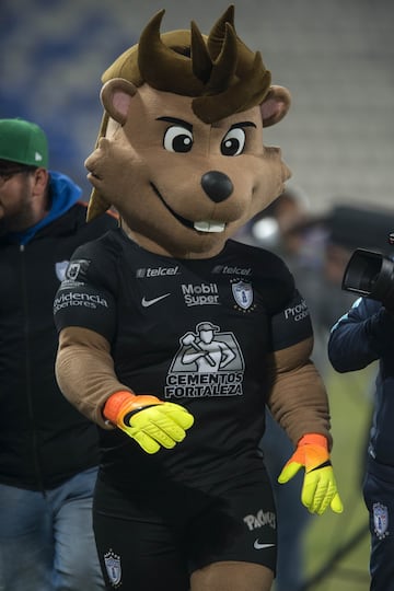 Este divertido tuzo es la mascota oficial del Pachuca.