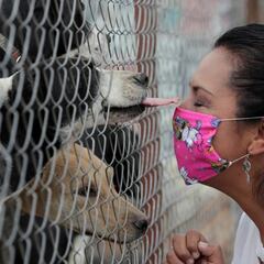 Fase 4 del coronavirus: qué es, qué significa y cuándo podría llegar