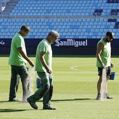 La Rosaleda se prepara para el invierno