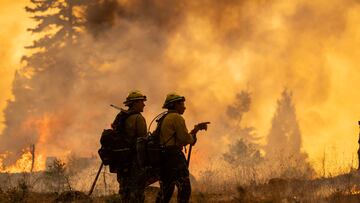 El incendio forestal de Park Fire se ha convertido en el quinto más grande de la historia de California. Aquí la lista de los mayores incendios.