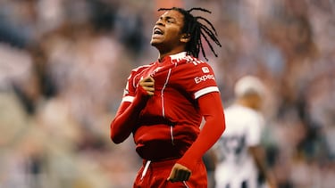 El joven futbolista británico nacido en 2008 y canterano 'Red' se ha convertido en el cuarto goleador más joven en la historia de la Premier League tras su gol ante el Newcastle.  El considerado por muchos como el “robo del siglo”, ya que el Liverpool le ‘levantó’ al Chelsea en septiembre del pasado año a uno de sus canteranos más prometedores es una de las mayores promesas del fútbol europeo.