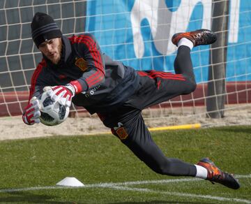 David De Gea. 