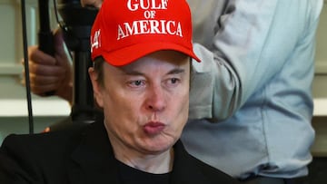 Tesla CEO Elon Musk attends a cabinet meeting held by U.S. President Donald Trump at the White House in Washington, D.C., U.S., April 30, 2025. REUTERS/Evelyn Hockstein