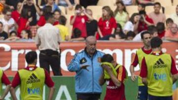 Del Bosque, en el entrenamiento de La Cartuja.