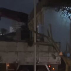 Se queda impactada por lo que ha visto a las 6.00 en Torremolinos: “¿Esto es normal?”