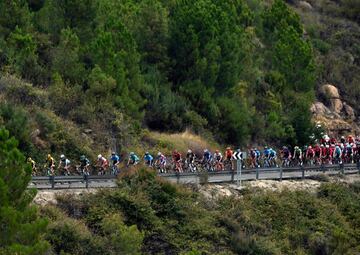 El pelotón en Pedro Bernardo durante la 20ª etapa de la Vuelta España 2019. 