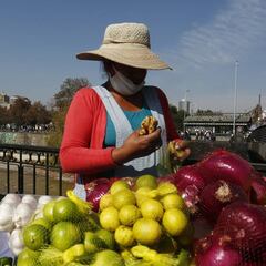 Postular al préstamo solidario para clase media: ¿hay que solicitarlo cada mes?