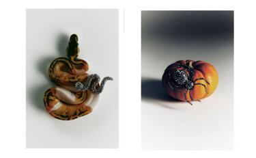 La coleccin 'Halloween' de Zara que est dando mucho de qu hablar