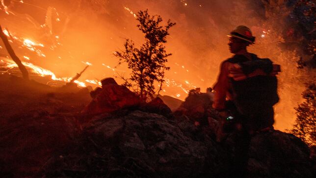 Flamethrower-armed arson suspect arrested in LA amid wildfires