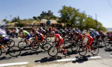 El pelotón durante la cuarta etapa de La Vuelta Ciclista a España 2014 en su 69 edición, que ha comenzado en Mairena del Alcor (Sevilla) y terminado en Córdoba, con una distancia de 164,7 kilómetros.