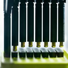 Alemania se atreve a testar la vacuna en humanos