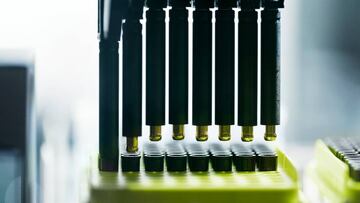 Alemania se atreve a testar la vacuna en humanos