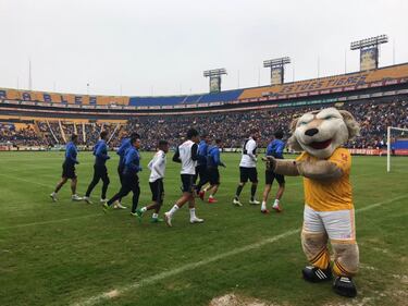 Tigres entrena a puerta abierta y fans se entregan: 'El más querido de México'