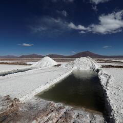The simple trick using salt to prevent mold in your home: Does it really work?