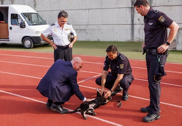 Luis Rubiales, presidente de la RFEF.