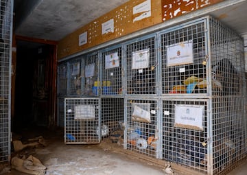 El interior de las instalaciones del campo municipal. 