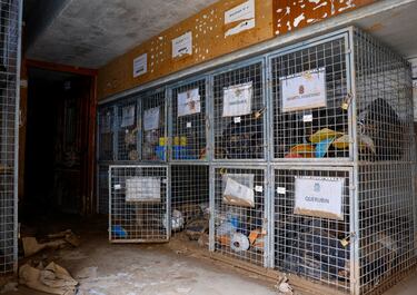 El interior de las instalaciones del campo municipal. 