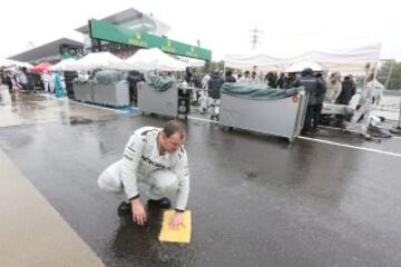 La carrera de Suzuka en imágenes