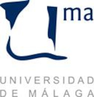 La Universidad de Málaga oferta un Máster sobre creación de videojuegos