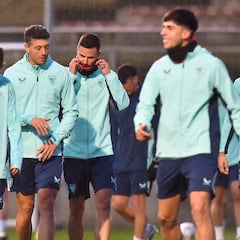 Leones en pie de guerra