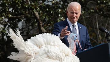 Durante varias décadas, la Casa Blanca ha celebrado una ceremonia sentimental en la que el presidente perdona a uno o dos pavos en Thanksgiving.