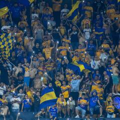 Liga MX se pronuncia sobre los lesionados en el recibimiento de Tigres