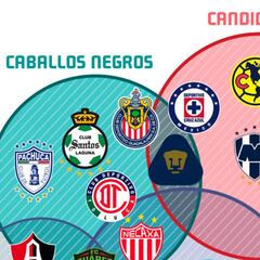 Los roles de los 18 equipos en la Liga MX