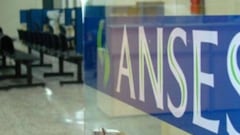 IFE ANSES 3: quiénes cobran el bono hoy, martes 15 de septiembre, según terminación de DNI